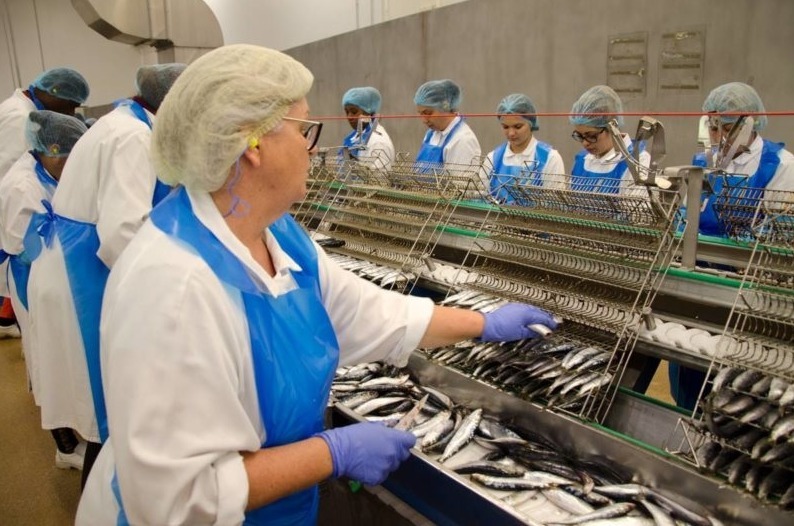 L’UNICOP alerte sur une crise systémique de la filière conserve